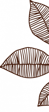 hoja