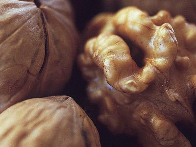 8 Nuevas Recetas de B2B